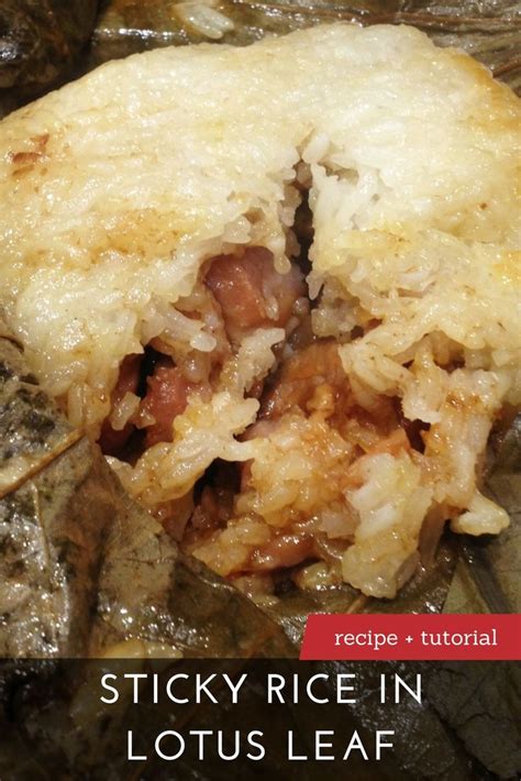 The Best Sticky Rice in Lotus Leaf Recipe | Dim Sum Central | Recipes ...