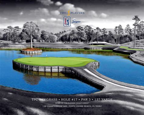 TPC Sawgrass Hole #17 Digital Art by Bob Wood