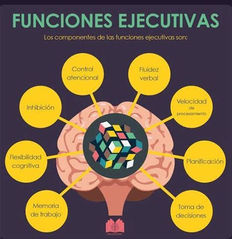 Que Es Funcion Ejecutiva Brainly Lat