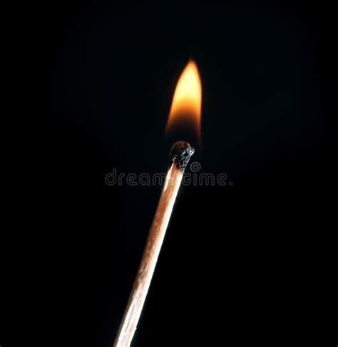 Burning Match Stock Photo Image Of Idea Light Flammable 24309866