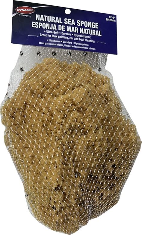 Dynamic Sea Sponge
