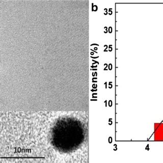 A Tem Image And B Particle Size Distribution Histogram Of Au Ag Nps In