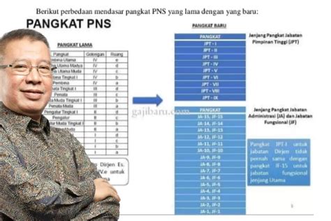 Ini Bocoran Jenis Pangkat Baru Pns Golongan I Ii Iii Dan Iv Siap