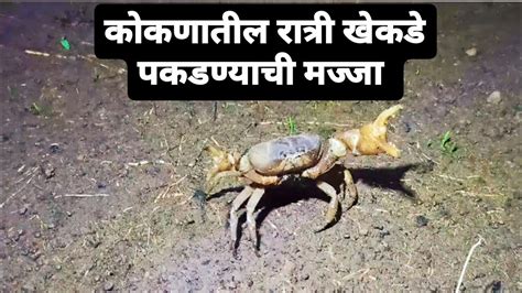 कोकणातील रात्री खेकडे 🦀 पकडण्याची मज्जा२०२३ Kokan Youtube