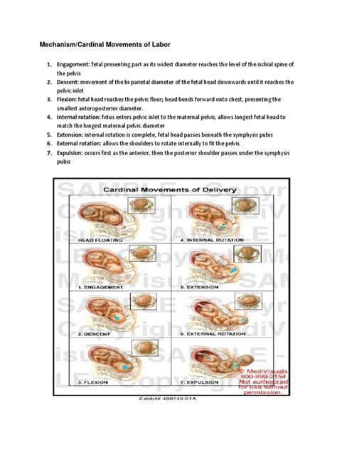 Mechanism of Labor | PDF