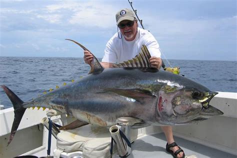 Fishing For Yellowfin Tuna - Louisiana Charter Fishing