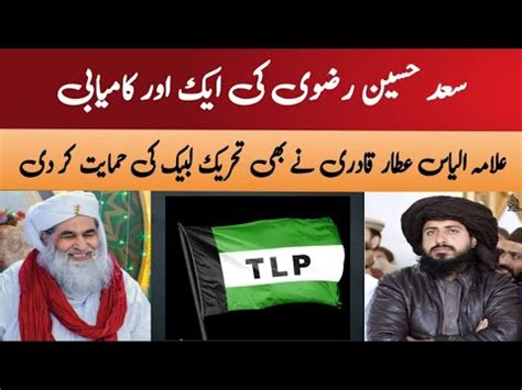 Allama Ilyas Atar Qadri Nain Tlp Ki Himayat Kr Di Tlp News Saad