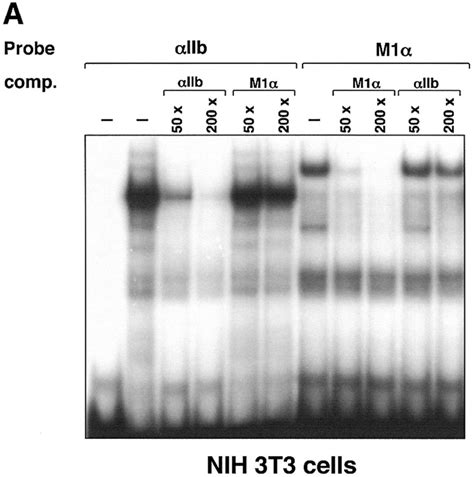 Control Of Megakaryocytespecific Gene Expression By Gata And Fog