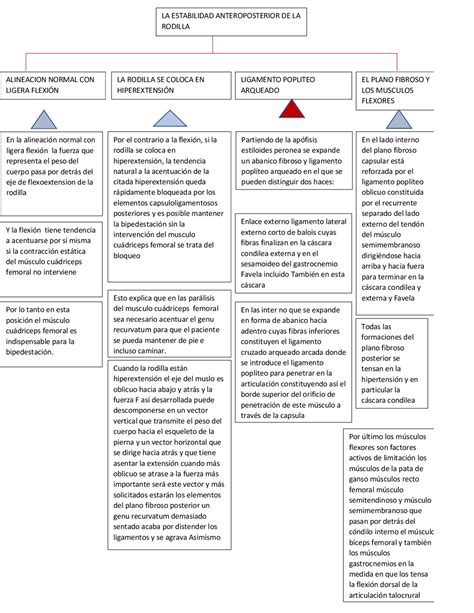 Biomecanica De La Rodilla Mapa Conceptual Shibaswap The Best Porn Website