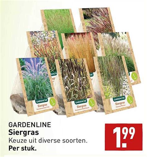 Gardenline Siergras Aanbieding Bij Aldi Folders Nl