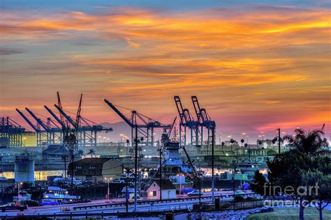 San Pedro Waterfront Gantry Cranes Photograph By David Zanzinger Fine