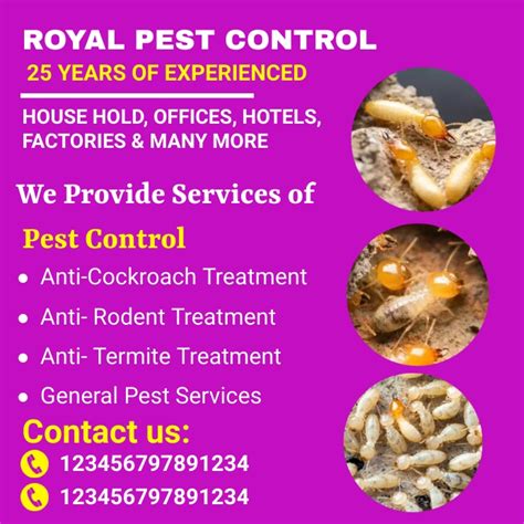 Pest Control Flyer Bed Bug Poster Pest Cont Template Postermywall