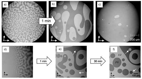 Symmetry Free Full Text Mirror Symmetry Breaking In Liquids And