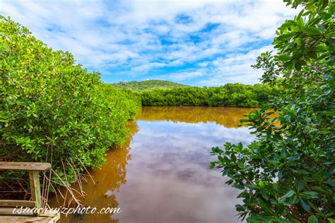 Conoce A Puerto Rico Reserva Natural Cabezas De San Juan