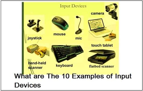 What Are Input Devices