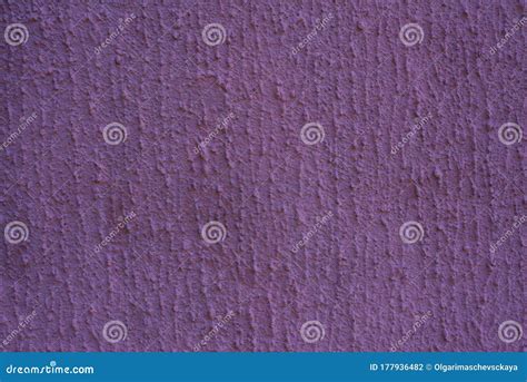 Purple Plaster Wall Uneven Texture Of Putty On The Wall With Copy