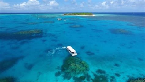 Glass Bottom Boat 23 Lady Musgrave Experience Great Barrier Reef