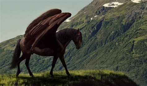 Discover The Enchanting Winged Horses Of Ýdára