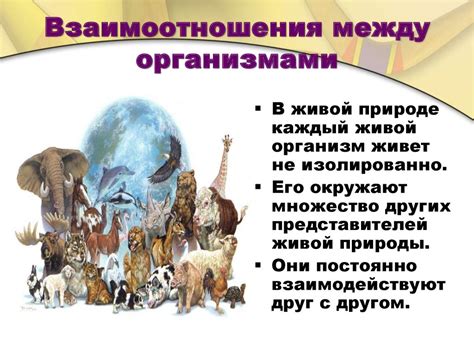 Взаимоотношения организмов - презентация онлайн