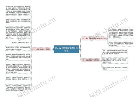 俩人没有结婚所生的小孩归谁思维导图编号p6191178 Treemind树图