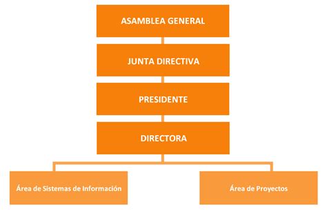 Estructura Organizativa