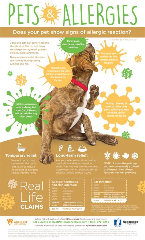 Spring Pet Safety Tips | ARKLE Veterinary Care