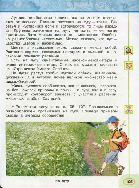 1 класс окружающий мир плешаков онлайн читать: Учебник Окружающий мир 1 ...
