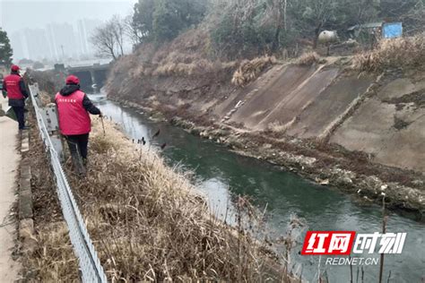 志愿者风采 一年做好一件事 共护河道碧水长流街道保护居民