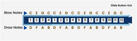 Guide To Chromatic Harmonica Notes For 12 14 And 16 Holes