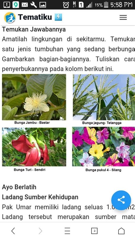 Detail Contoh Gambar Bunga Dan Cara Penyerbukannya Koleksi Nomer 33