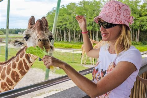 Vendula Bednarova Blonde Girl Hat Glance Glasses Smile Hands Hd