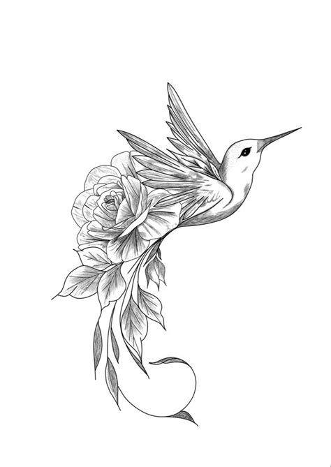 Hummingbird Drawings Tattoos