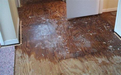 Water Damage Restoration Checklist And Guide [updated 2025]