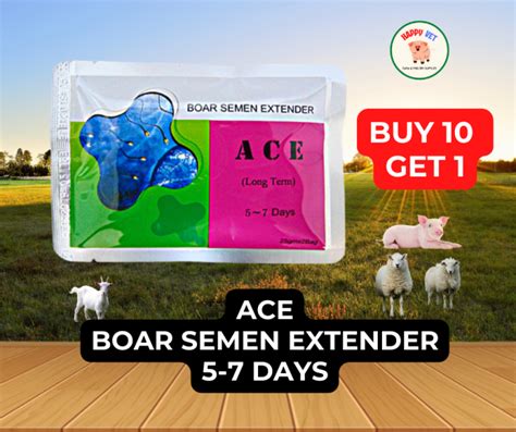 10 1free Ace Boar Se Men Medium Term Ai Extender 5 To 7 Days For Pigs