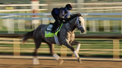 Kentucky Derby Post Positions Printable