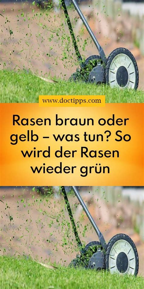 Rasen Braun Oder Gelb Was Tun So Wird Der Rasen Wieder Grün Doc Tipps