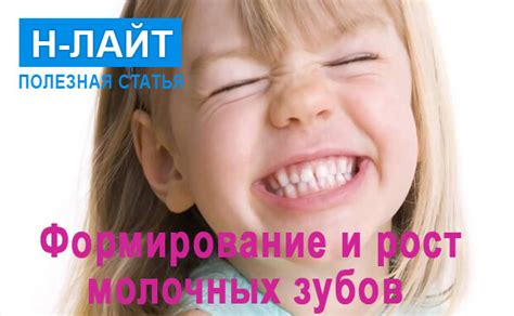 Формирование и рост зубов у детей | Н-Лайт