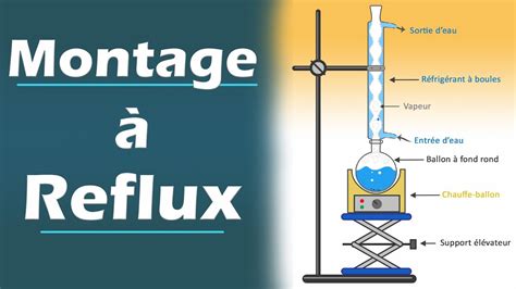 Montage à REFLUX Principe et Explication Chimie Lycée YouTube