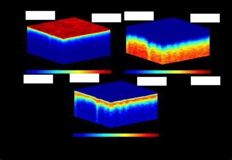 Figure A Intensities Of Nmf Components Obtained From A D Tof Sims