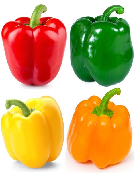 Sweet Bell Pepper Seeds Collection 200 Seeds 4 Heirloom Non GMO