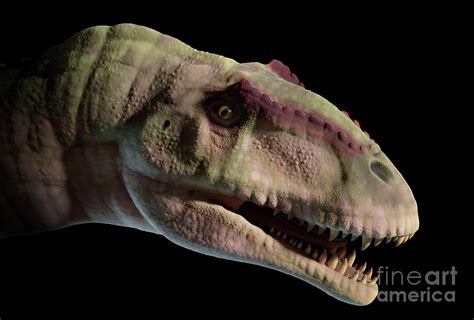 Artwork Of Giganotosaurus Photograph By Mark Garlickscience Photo Library Fine Art America