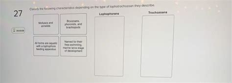 Solved Classify The Following Characteristics Depending On Chegg