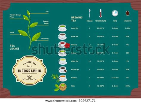 Vector Set Tea Infographics Classification Plants Stock Vector Royalty