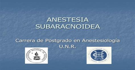 Anestesia Regional Peridural Pdf Document