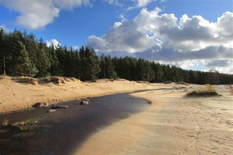Бухта Желтая в Ленинградской области стала памятником природы | ИА ...