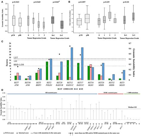 Frontiers Increased Levels Of Genomic Instability And Mutations In