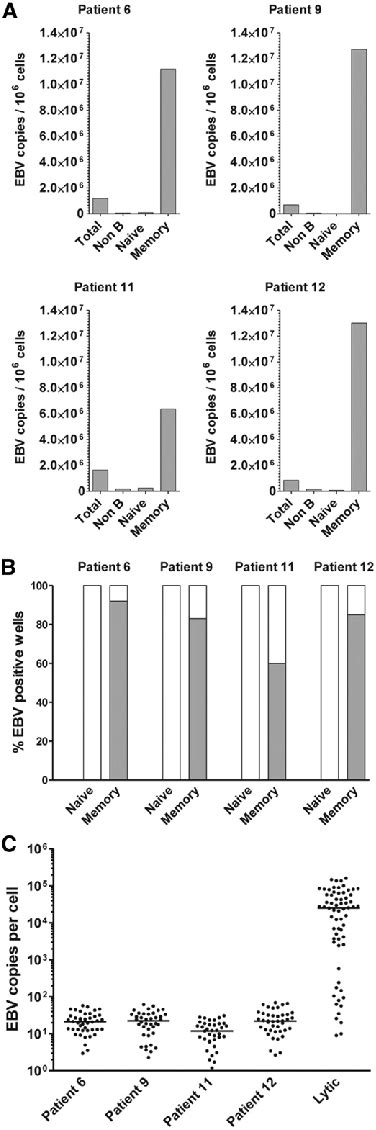 Ebv Loads In Different B Cell Subsets In Patients With High Level