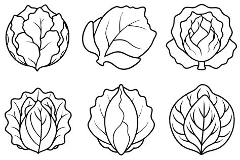Premium Vector Cabbage Leaf Line Art Outline