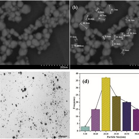 Fe Sem Images Of Aj Agnps A At Nm Magnification B Fe Sem