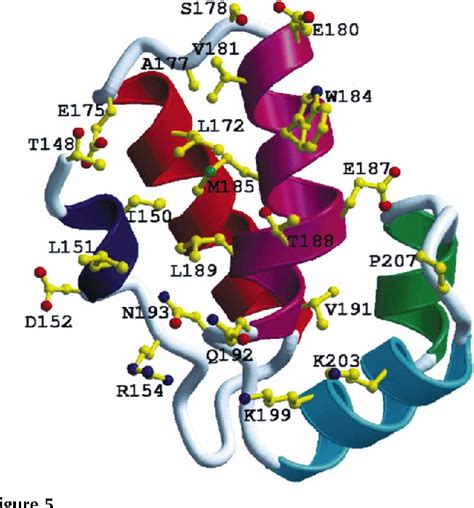 Figure From Biological Crystallography Structures Of The Hiv Capsid